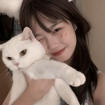 放置少女团游戏下载