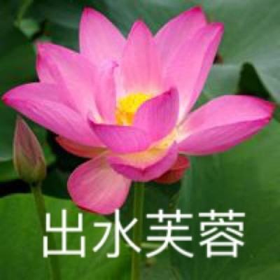 运动健身vr演示游戏下载